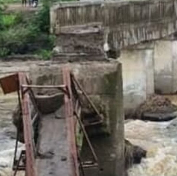 Tragedia in India, crolla ponte con centinaia di turisti: ci sono morti e dispersi