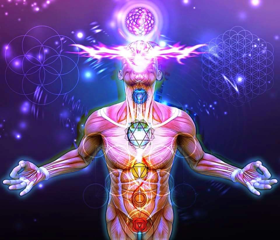 5953957397322122962