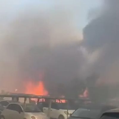 Maxi incendio in pineta, bagnanti in fuga: il video da brividi