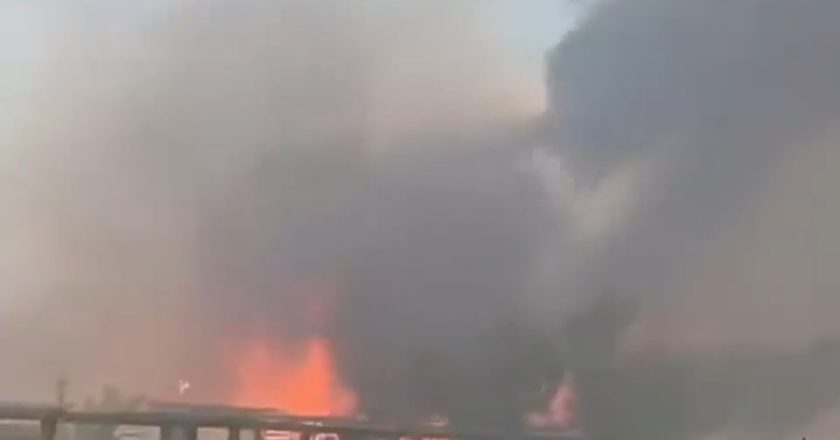 Maxi incendio in pineta, bagnanti in fuga: il video da brividi