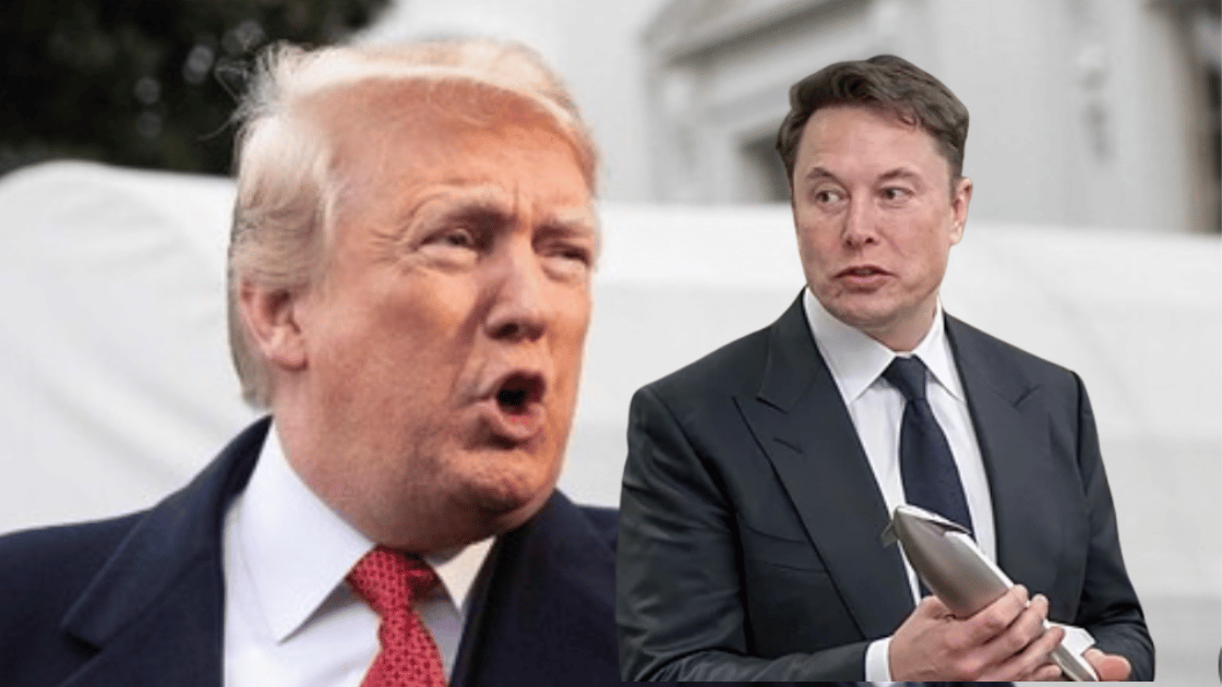 elon musk trump