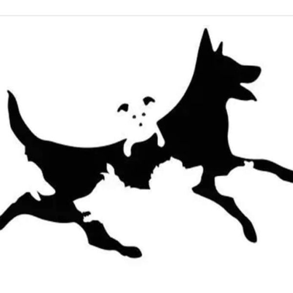 Il numero di cani che vedi riflette la tua età mentale