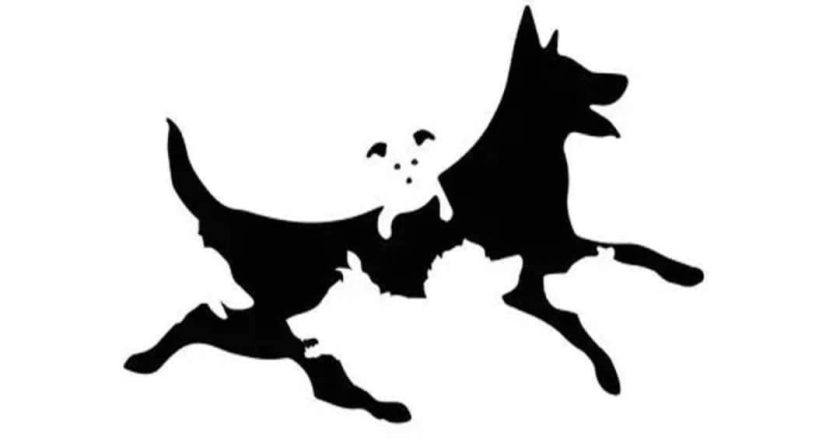 Il numero di cani che vedi riflette la tua età mentale