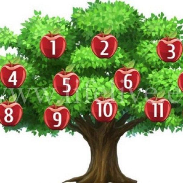 Albero dei desideri: scegli una mela e scopri cosa succederà in futuro!