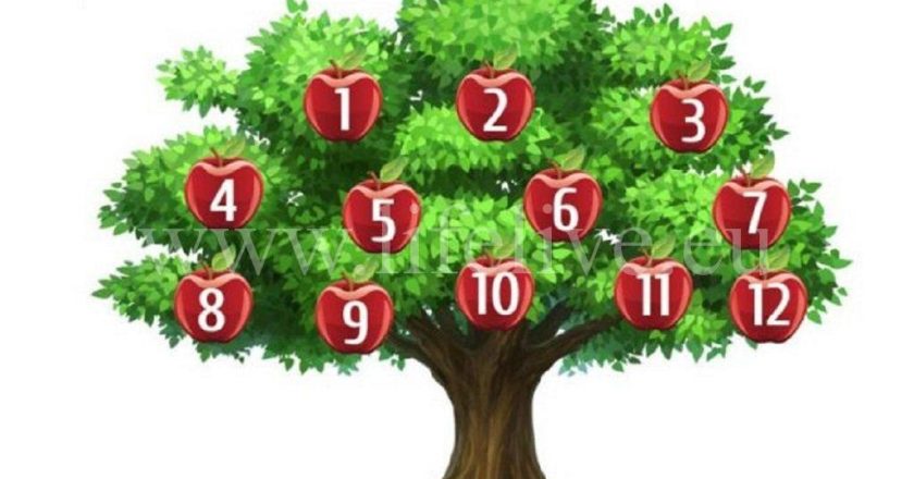 Albero dei desideri: scegli una mela e scopri cosa succederà in futuro!