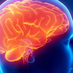 Alzheimer: i sintomi precoci che avvisano del suo arrivo