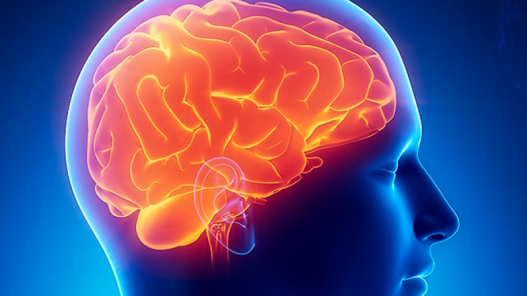 Alzheimer: i sintomi precoci che avvisano del suo arrivo