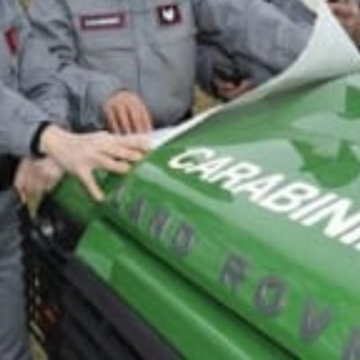 Crea un allaccio idrico abusivo alla fontana della Reggia di Caserta danneggiandola. Arrestato