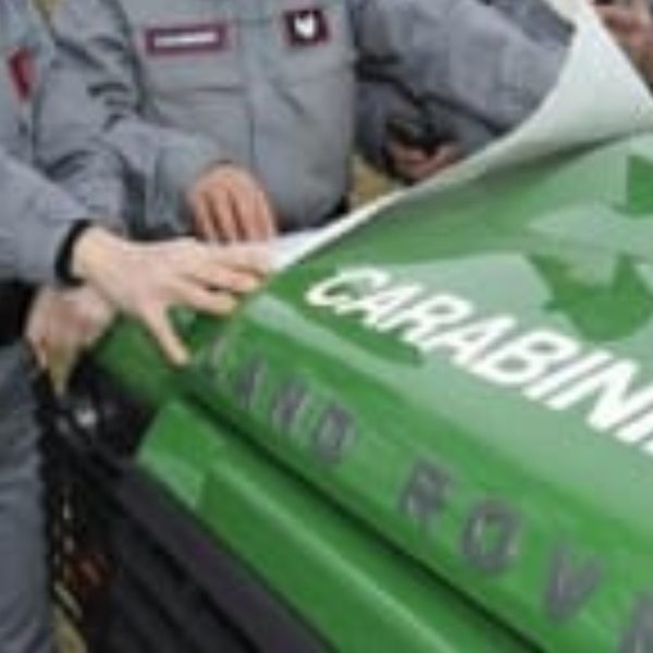Crea un allaccio idrico abusivo alla fontana della Reggia di Caserta danneggiandola. Arrestato