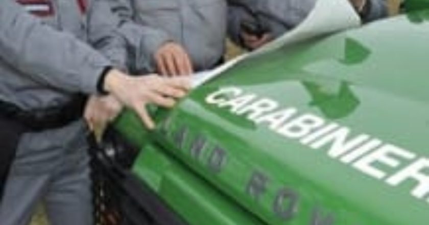 Crea un allaccio idrico abusivo alla fontana della Reggia di Caserta danneggiandola. Arrestato