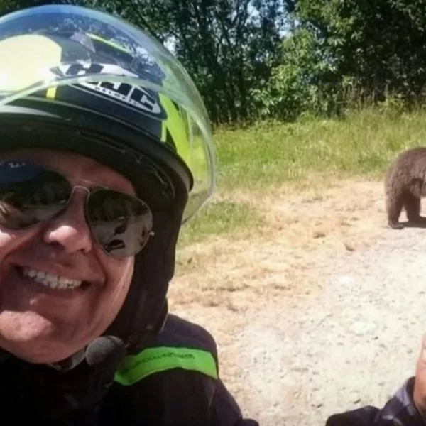 “Chi era davvero”. Omar ucciso da un’orsa mentre si fa un selfie: la scoperta dopo la tragedia
