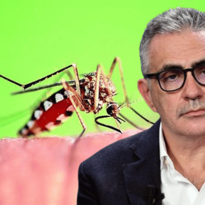 West Nile, boom di casi anche nel Lazio e Campania: i consigli di Pregliasco per proteggersi