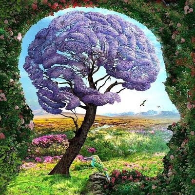 La prima cosa che la tua mente ha colto in questo test ti dirà cosa ti preoccupa di piu