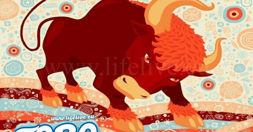 I 3 segni zodiacali più attratti dal Toro