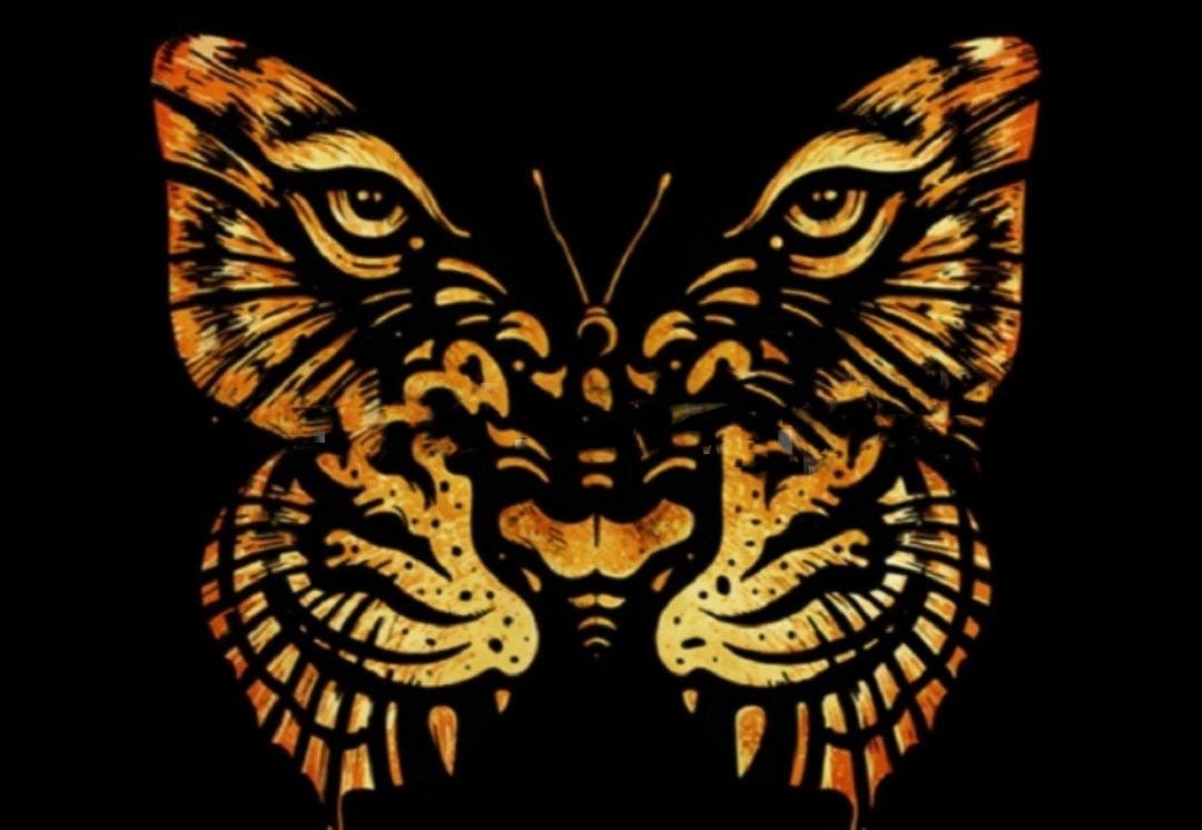 IMG-20250807-WA0014