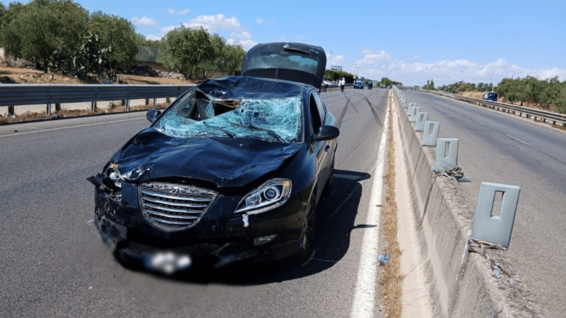 incidente ciclisti terlizzi (2)