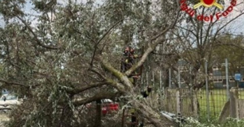 Violenta tromba d’aria devasta tutto: danni ingenti, strade chiuse e soccorsi in azione