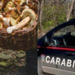 Va a cercare funghi, finisce in tragedia: sbranato da animali, morto in ospedale