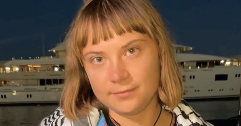 Flotilla, Greta Thunberg lascia il comitato direttivo: cosa c’è dietro la sua decisione