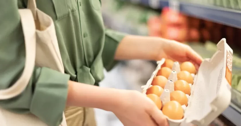 Uova ritirate dal commercio per pericolo salmonella, l’allerta del Ministero: marchio e lotto a rischio