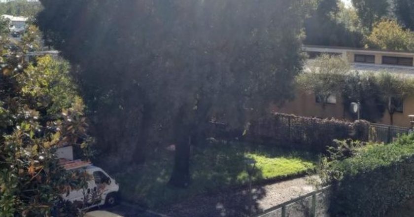 Fuga di gas in un asilo di Milano: evacuazione tempestiva e nessun ferito