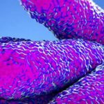 Febbre, tosse, brividi, attenzione non è influenza, ecco di che si tratta