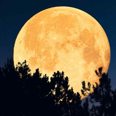 Preparatevi! SuperLuna del Castoro in arrivo: ecco quando vederla