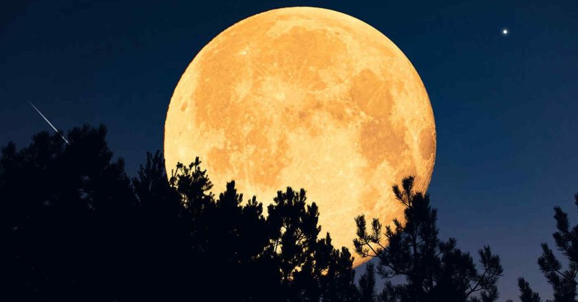 Preparatevi! SuperLuna del Castoro in arrivo: ecco quando vederla