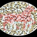 Scopri la tua personalità, cos’hai visto per primo nell’immagine?