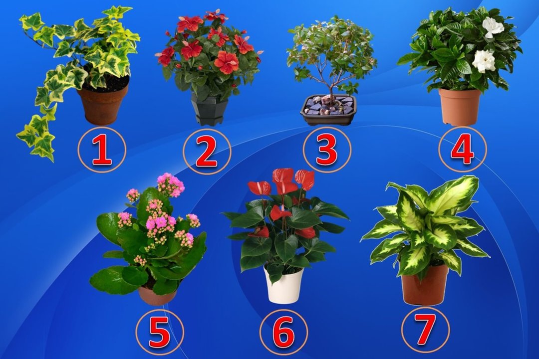 132118907-eee52d6b-5cf4-45c0-a8cc-44564e6d12a8