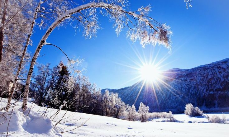 Tre segni zodiacali che a Novembre attendono grandi cambiamenti