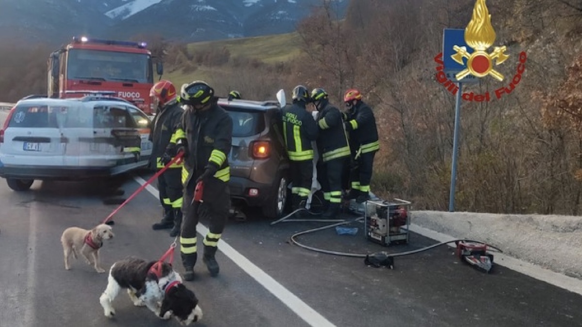 “È lui”. Incidente devastante, muore il big italiano. Salvi i suoi cani Screenshot