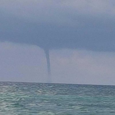 Tromba marina devastante in Italia, alberi abbattuti e cittadini in fuga: “Mai visto niente del genere”