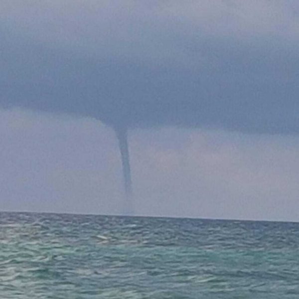 Tromba marina devastante in Italia, alberi abbattuti e cittadini in fuga: “Mai visto niente del genere”