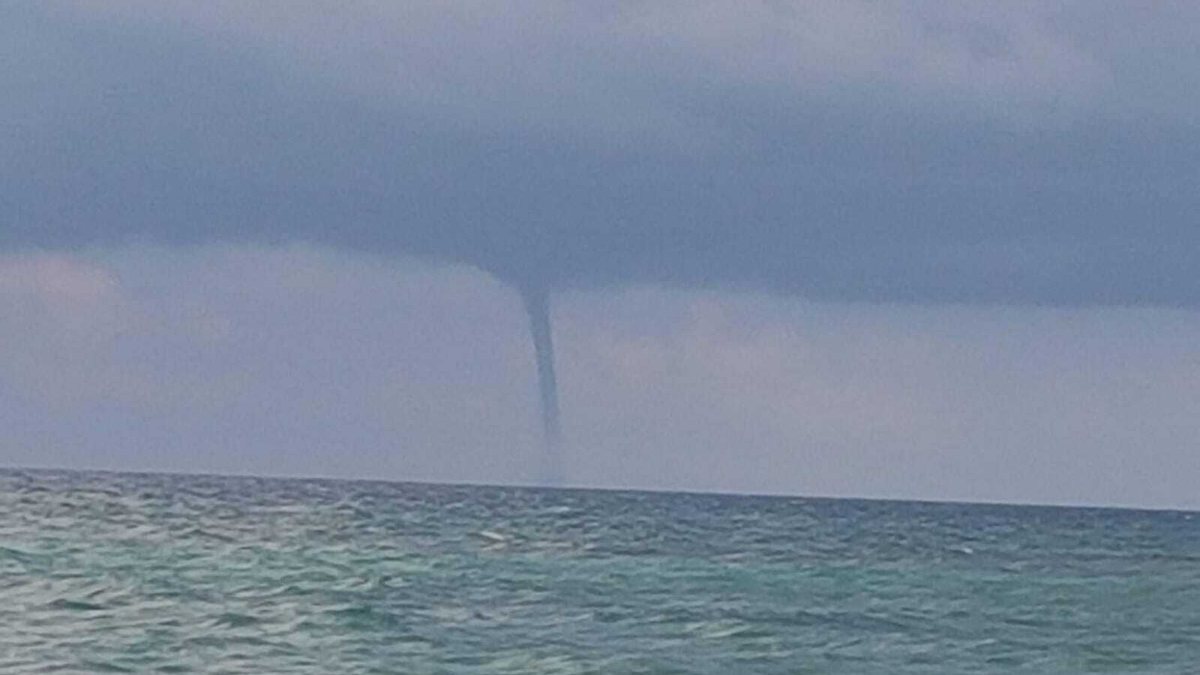 tromba-daria-salerno