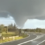 Tromba d’aria in Puglia: alberi sollevati dal vento e paura sul litorale ionico