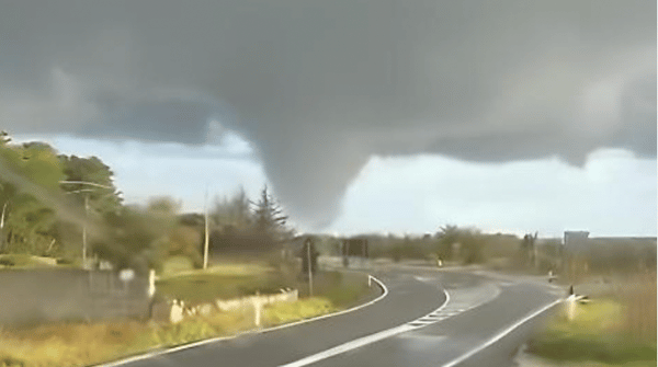 Tromba d’aria in Puglia: alberi sollevati dal vento e paura sul litorale ionico
