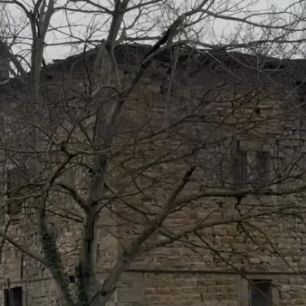 Caso Ruggi, svolta definitiva dopo oltre un anno: i resti nella torre sono di Daniela