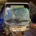 Schianto nel Barese, due fidanzati muoiono intrappolati nell’auto