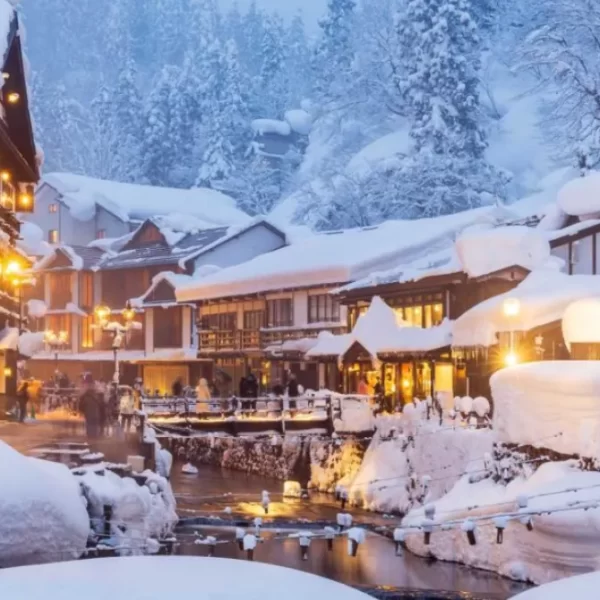 Il paese nella morsa del gelo: 46 morti e oltre 550 feriti per le nevicate record