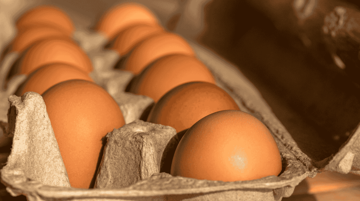 uova-fresche-quanto-durano