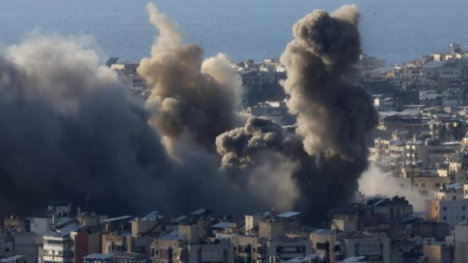 1773293387785_1-1536x864