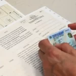 Referendum, guida pratica al seggio: cosa portare, cosa non portare — dalla tessera scaduta allo smartphone, dai figli al cane