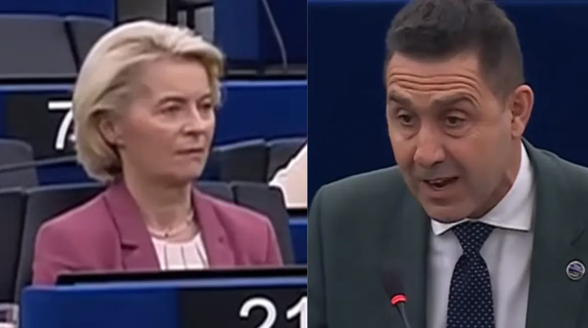 vannacci von der leyen perlamento ue