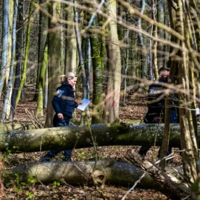 Albero cade sulla festa di Pasqua: tre morti, tra le vittime una bambina di 10 mesi