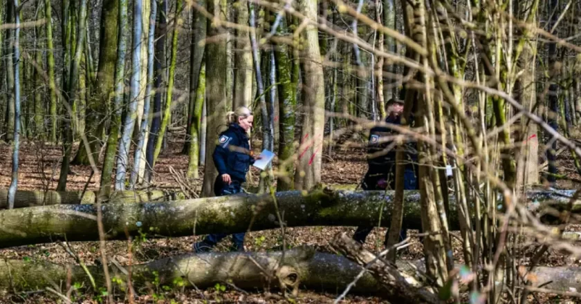 Albero cade sulla festa di Pasqua: tre morti, tra le vittime una bambina di 10 mesi