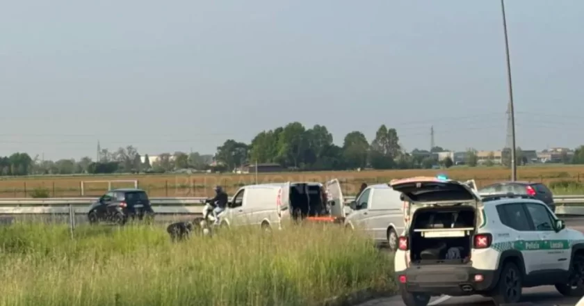 Trovato riverso nel prato all’alba da un camionista: chi era l’uomo