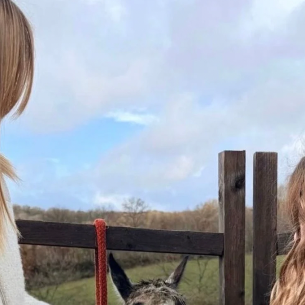 Pasqua, gli auguri di Meloni e il caso suor Monia: polemiche social