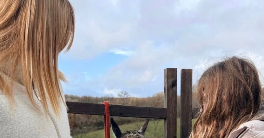 Pasqua, gli auguri di Meloni e il caso suor Monia: polemiche social