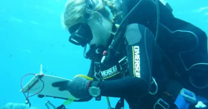 Maldive, parla il sub che ha recuperato i corpi degli italiani: “Impossibile essere risucchiati nella grotta”